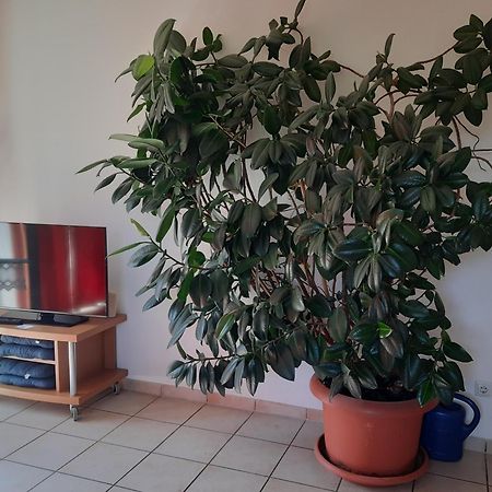 Ferienwohnung Ferstl 리덴부르크 외부 사진